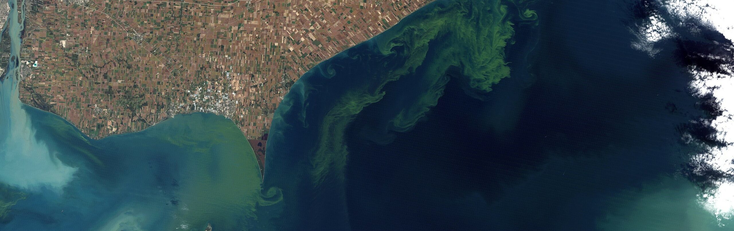 Satelite view of algae bloom over lake Erie