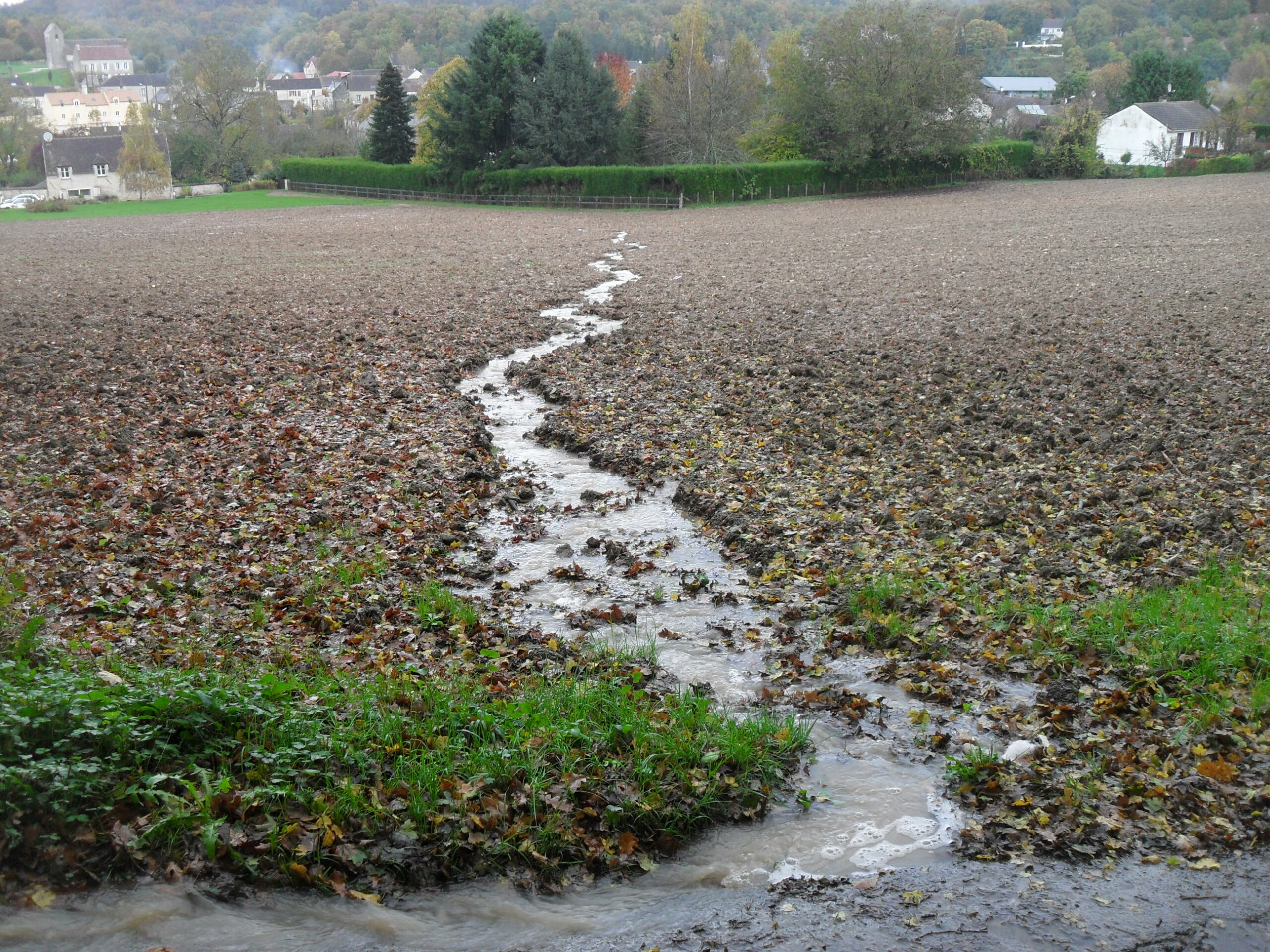 Picture of a farming plot with runoff flowing in a talweg