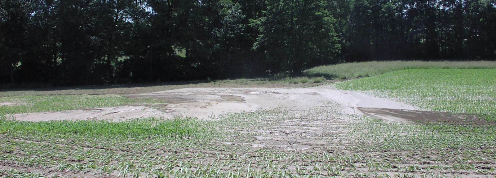 Picture of rill created by soil erosion a in a field